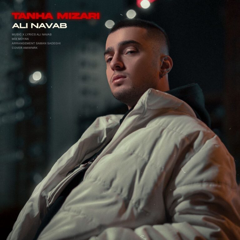 دانلود آهنگ علی نواب تنها میذاری